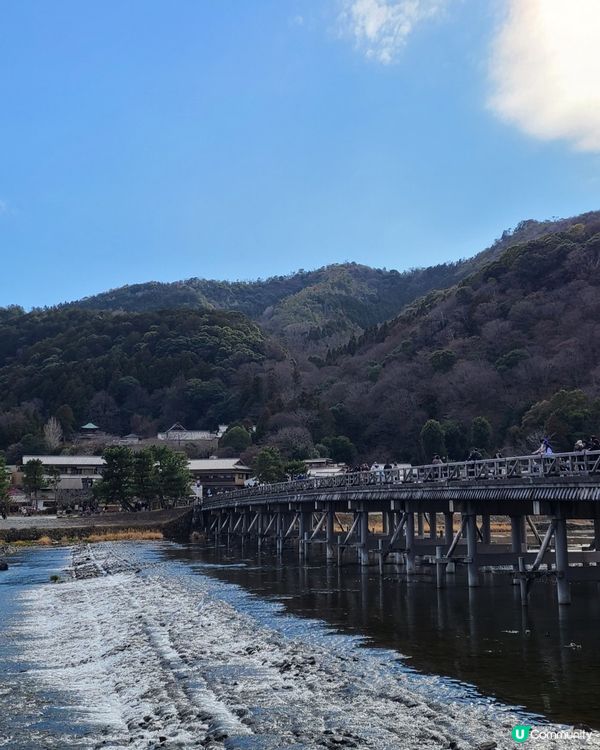 嵐山好去處✨️｜打卡竹林小徑🎋、地道豆腐料理🍱