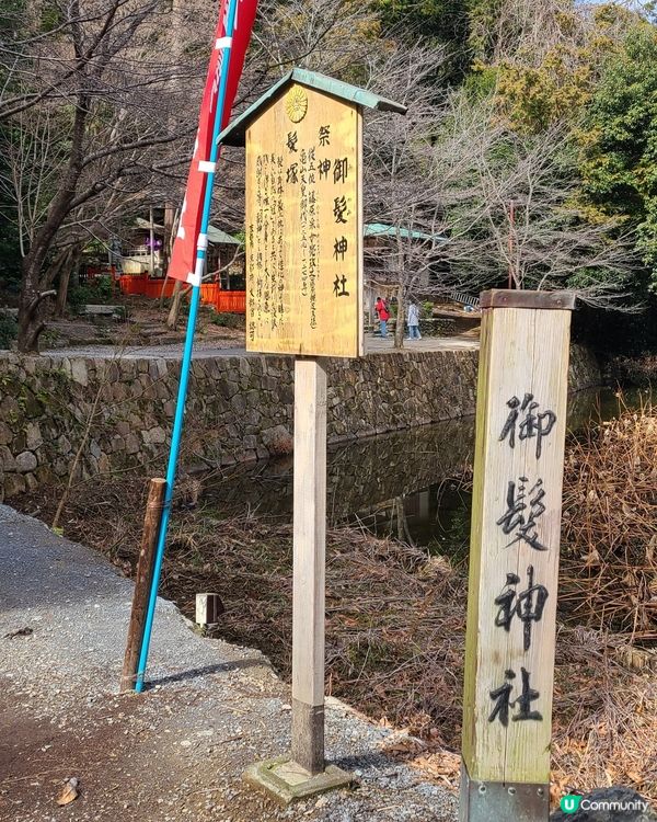 嵐山好去處✨️｜打卡竹林小徑🎋、地道豆腐料理🍱