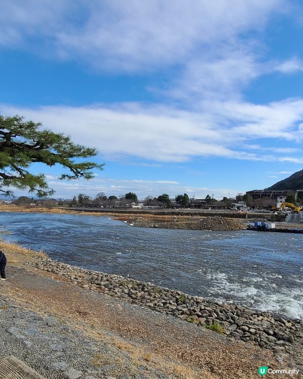嵐山好去處✨️｜打卡竹林小徑🎋、地道豆腐料理🍱