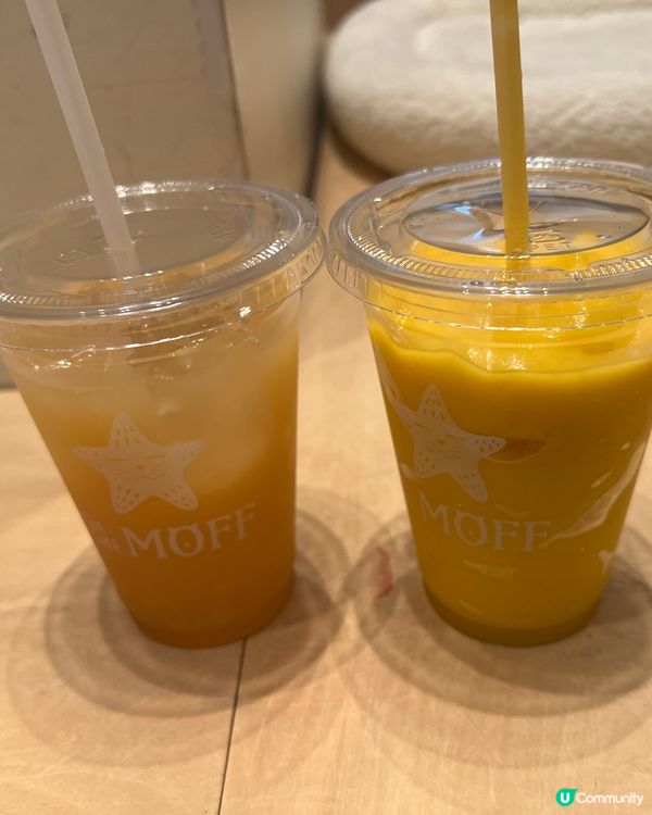 🐱名古屋貓咪主題cafe(入場費700円咋！）