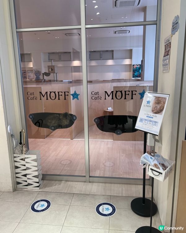 🐱名古屋貓咪主題cafe(入場費700円咋！）