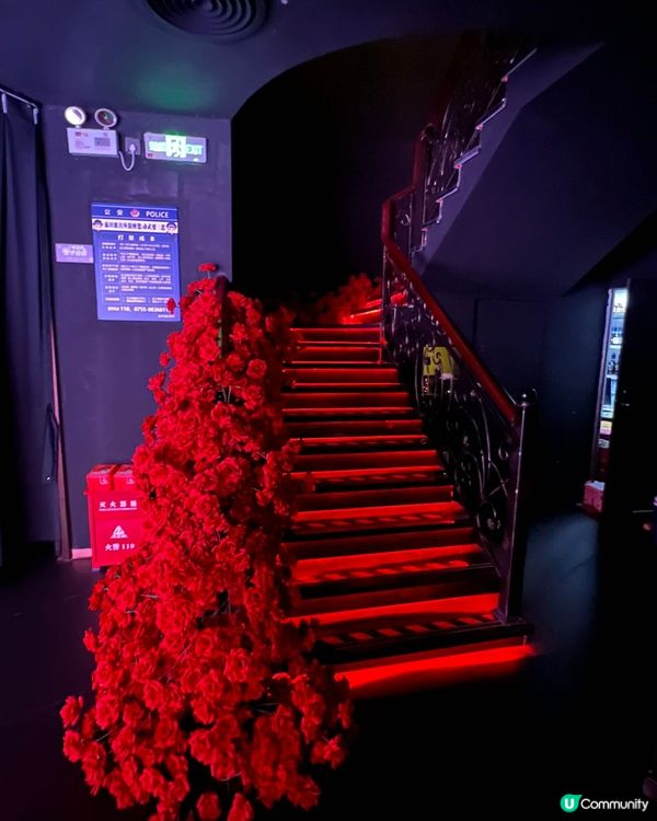 【🎼蘭心 Live 𝑺𝒉𝒐𝒘+大眾點評美食套餐 】