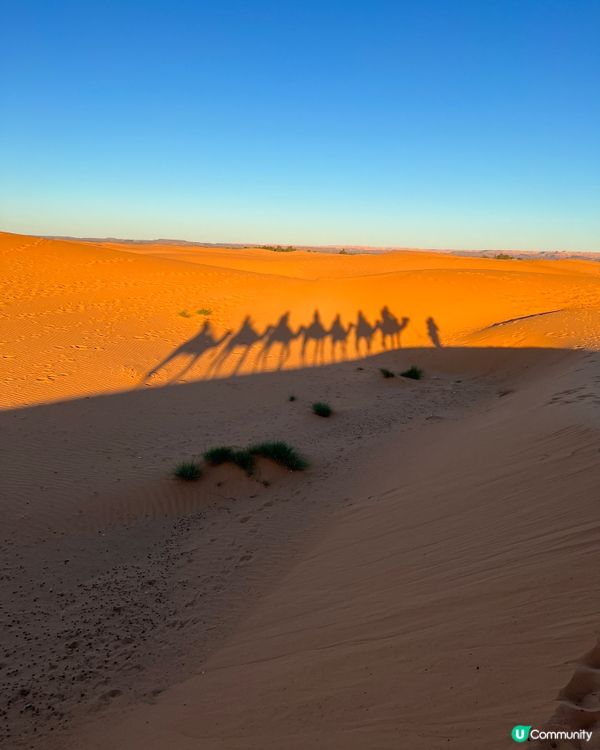 ## 摩洛哥沙漠之旅🏜️  日落騎駱駝，星空帳篷⛺️