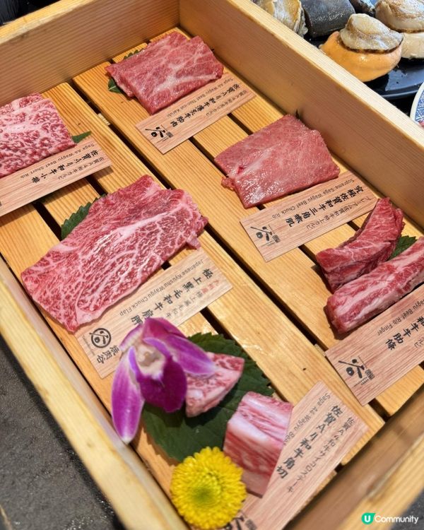 高質日本和牛放題