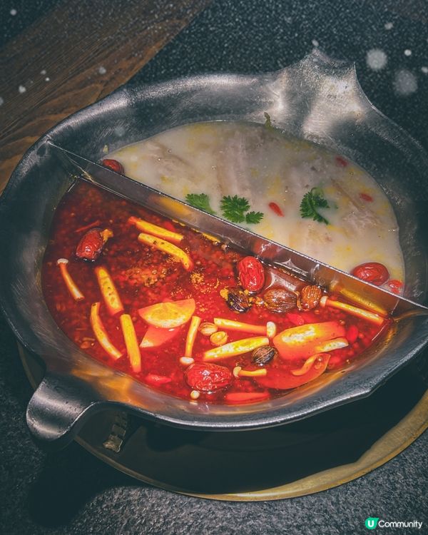 可愛爆登❗️企鵝賞月賀中秋🐧🌕🏮