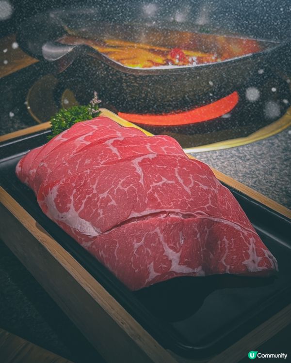 可愛爆登❗️企鵝賞月賀中秋🐧🌕🏮