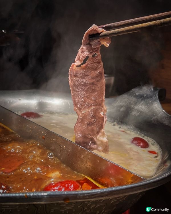 可愛爆登❗️企鵝賞月賀中秋🐧🌕🏮