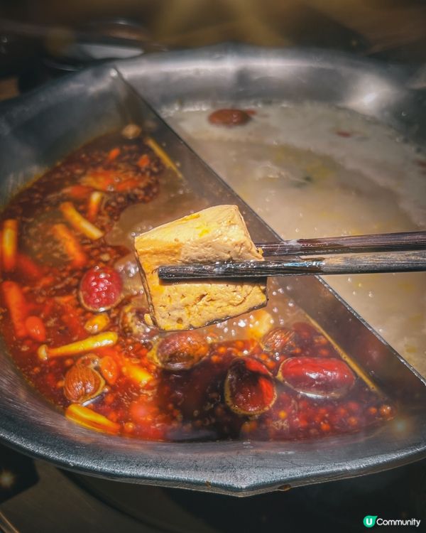 可愛爆登❗️企鵝賞月賀中秋🐧🌕🏮