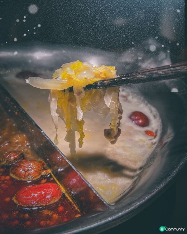 可愛爆登❗️企鵝賞月賀中秋🐧🌕🏮