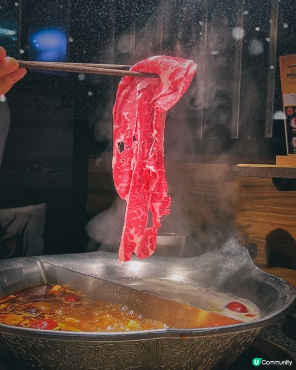 可愛爆登❗️企鵝賞月賀中秋🐧🌕🏮