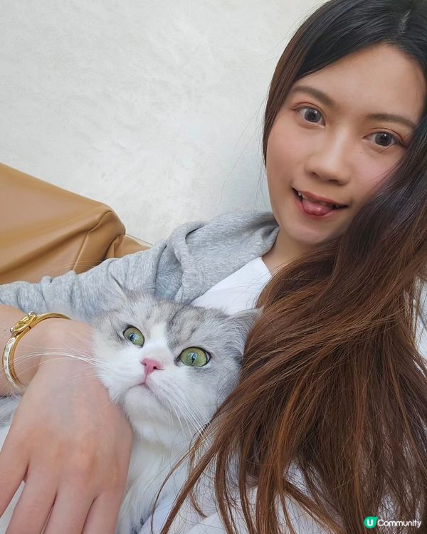 鏟屎官必備！除臭貓砂大推薦🤩