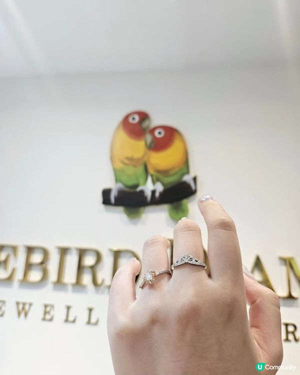 💎 獎勵自己就係要閃✨