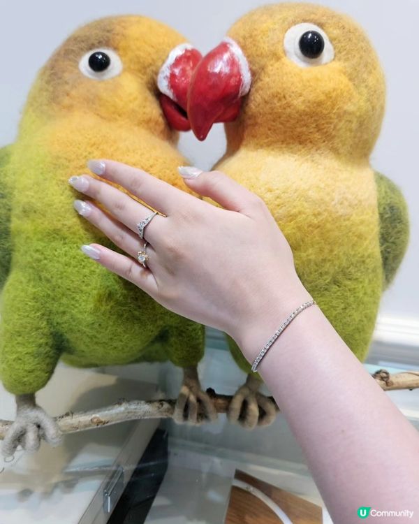 💎 獎勵自己就係要閃✨