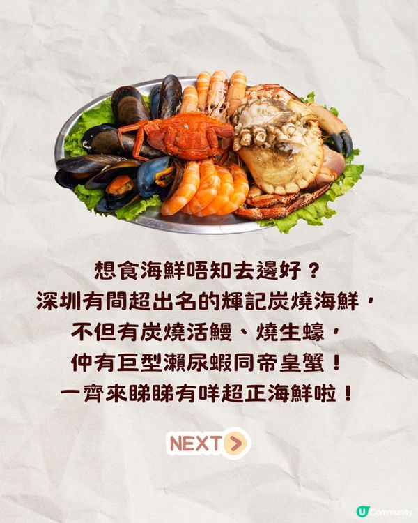 深圳必食人氣炭燒海鮮🔥爆膏帝王蟹/炭燒活鰻/巨型瀨尿蝦🦐