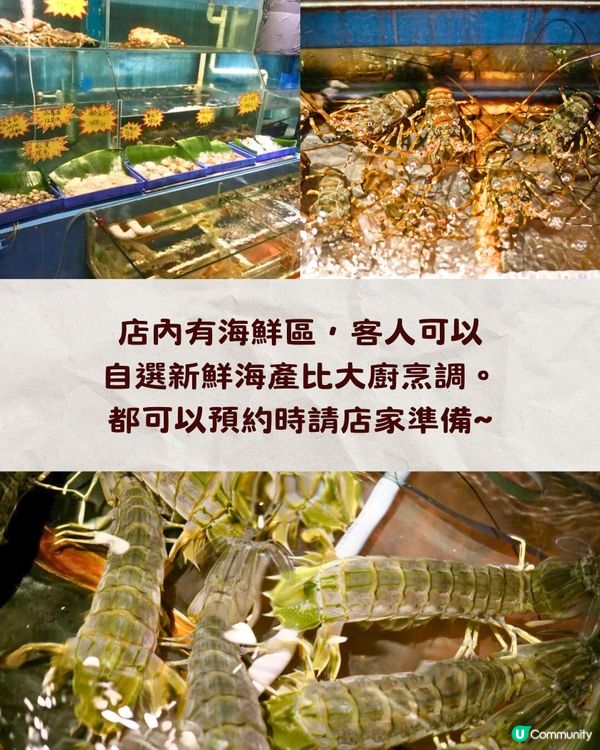 深圳必食人氣炭燒海鮮🔥爆膏帝王蟹/炭燒活鰻/巨型瀨尿蝦🦐