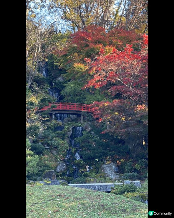 呢個位於北陸青森弘前公園隔離??藤田紀念庭園?,經過悉心處理...
