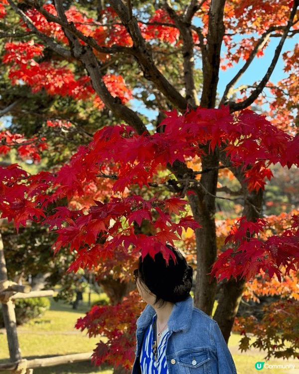 呢個位於北陸青森弘前公園隔離??藤田紀念庭園?,經過悉心處理...