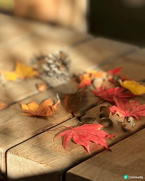 呢個位於北陸青森弘前公園隔離??藤田紀念庭園?,經過悉心處理...