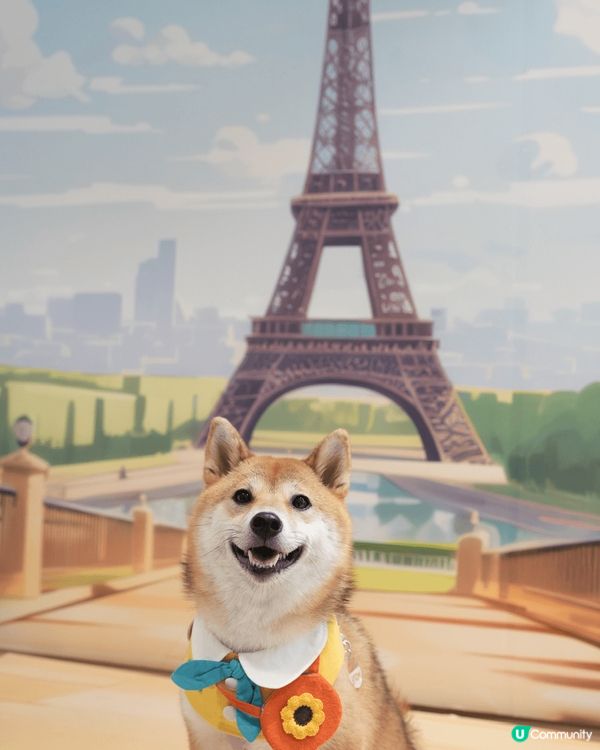 一直都很想帶狗狗一起去旅行，於是我們在香港發掘了一偽巴黎之旅...