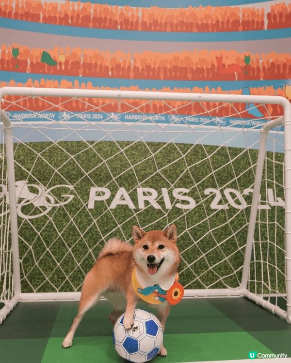 一直都很想帶狗狗一起去旅行，於是我們在香港發掘了一偽巴黎之旅...