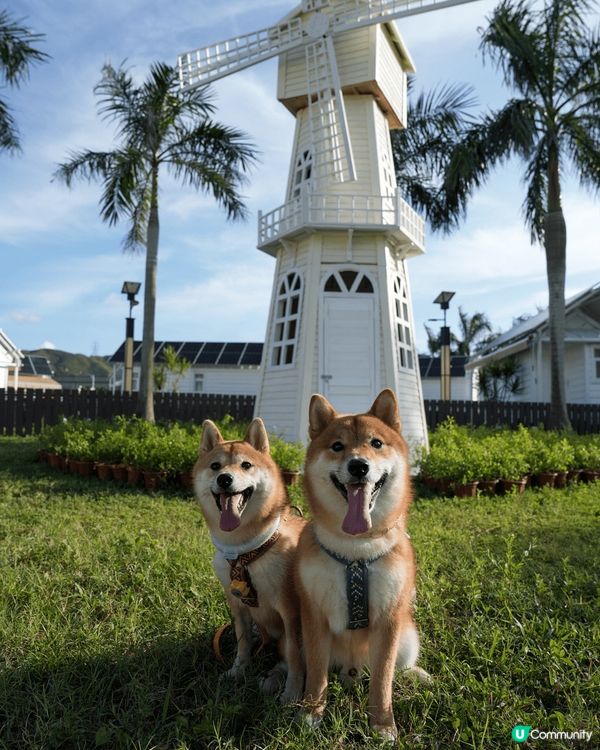好舒服既度假村?? 一間獨立既小木屋 有獨立廁所可以沖涼 有...