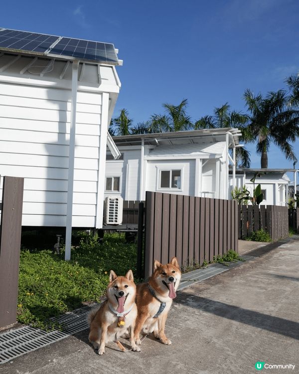 好舒服既度假村?? 一間獨立既小木屋 有獨立廁所可以沖涼 有...