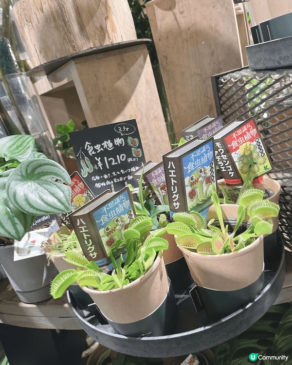 東京日暮里? - 谷中銀座商店街，離開城市都有好地方??#C...