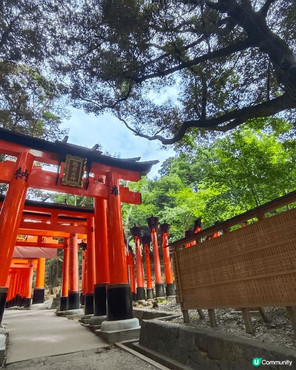 美美的稻河神社,??的?取, 神圣的白兔神社都是我最愛的景點...