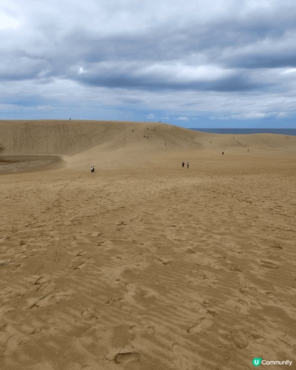 美美的稻河神社,??的?取, 神圣的白兔神社都是我最愛的景點...