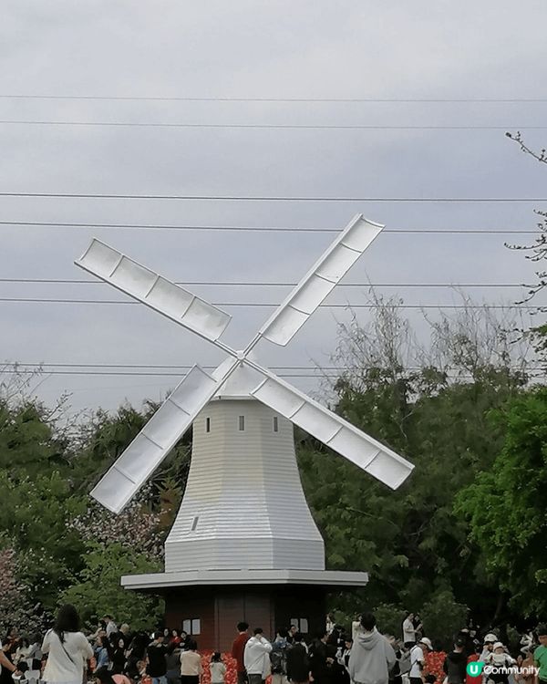 北上深圳玩樂, 除了在深圳口岸附近玩樂外, 還可以到南山區發...