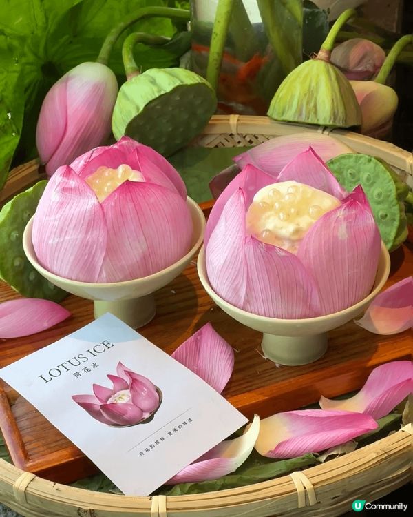 長沙的國風美學有荷花沙冰, 荷花氣泡水,荷花蓮子,荷花魚.....