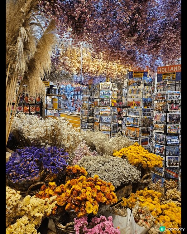 荷蘭必去城市Amsterdam, 不一定要食草的，很多優美環...