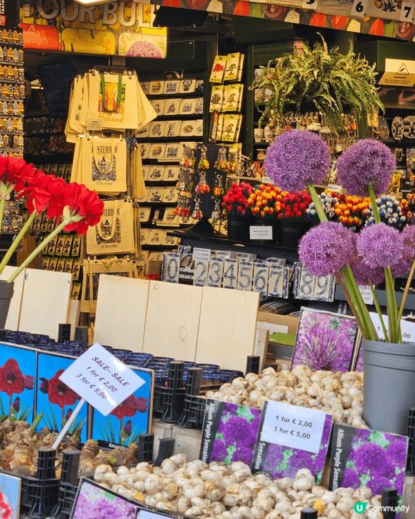 荷蘭必去城市Amsterdam, 不一定要食草的，很多優美環...