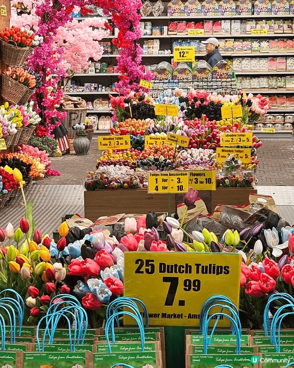 荷蘭必去城市Amsterdam, 不一定要食草的，很多優美環...