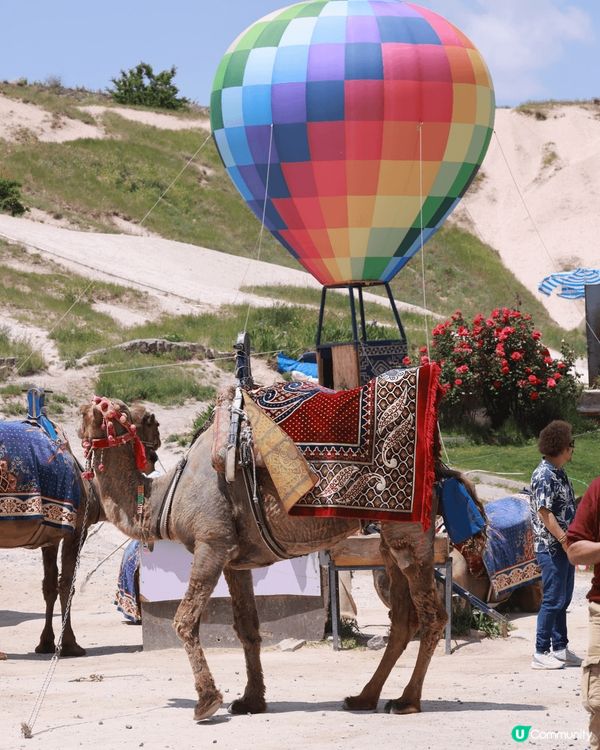 土耳其之旅，參觀當地傳統、壯觀的清真寺，乘坐熱氣球，一覽當地...