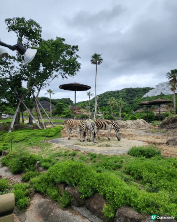 和歌山景色靚 美食購物玩樂都有齊 完全唔怕悶！趁旅客唔算太多...