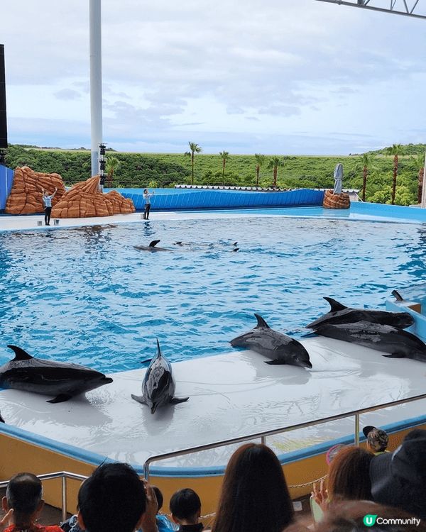 和歌山景色靚 美食購物玩樂都有齊 完全唔怕悶！趁旅客唔算太多...