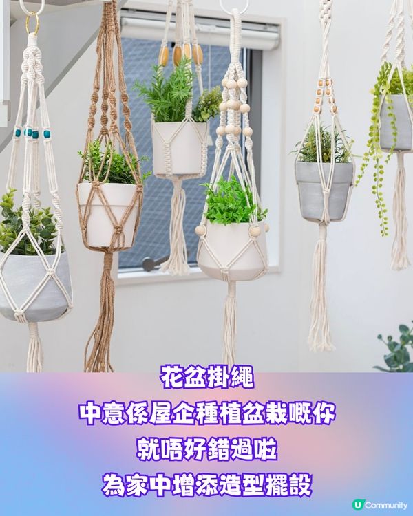 日本必逛300円THREEPPY新品好物推介💕