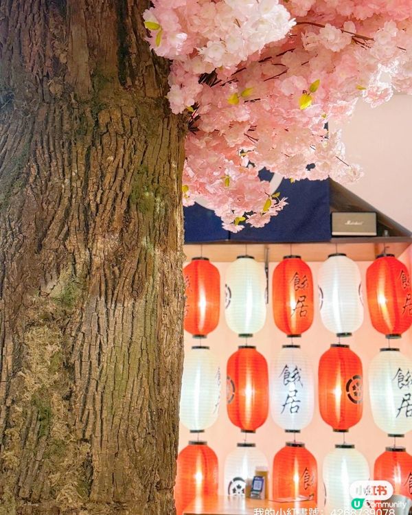 旺角日系浪漫櫻花🌸居酒屋
