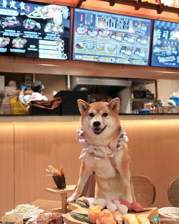 荃灣寵物友善日本料理