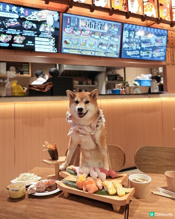 荃灣寵物友善日本料理