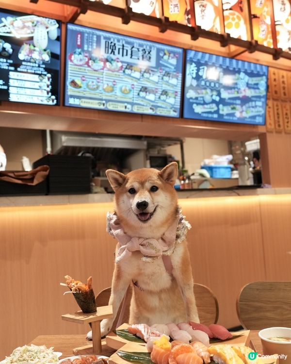 寵物友善嘅日本餐廳