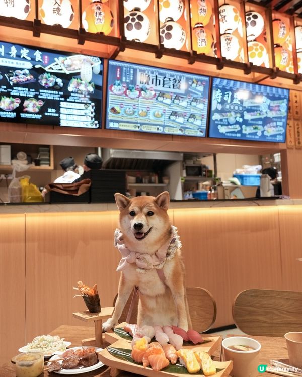同狗狗一齊食壽司