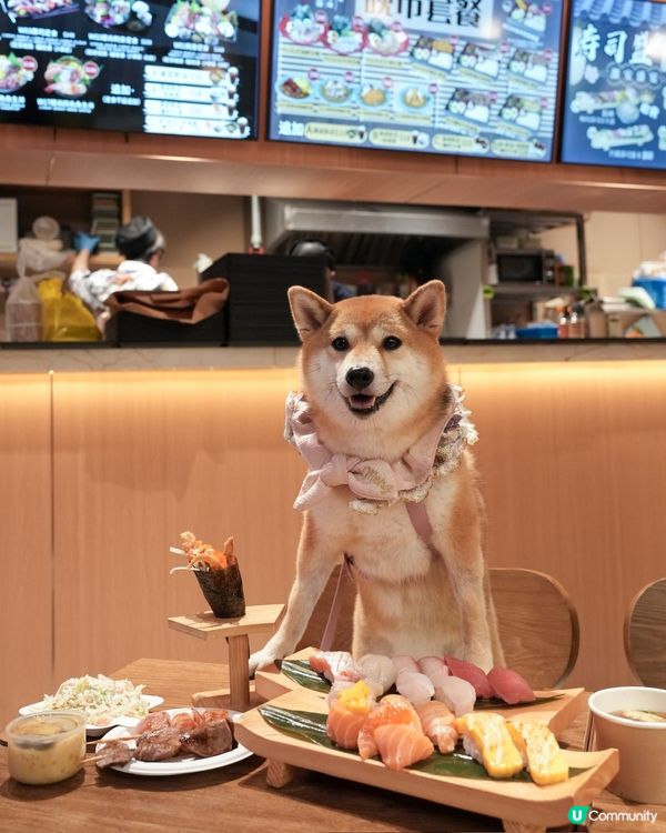 同狗狗一齊食壽司