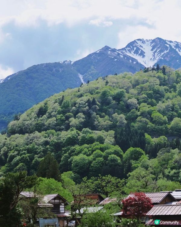 🇯🇵名古屋六日五夜全程分享