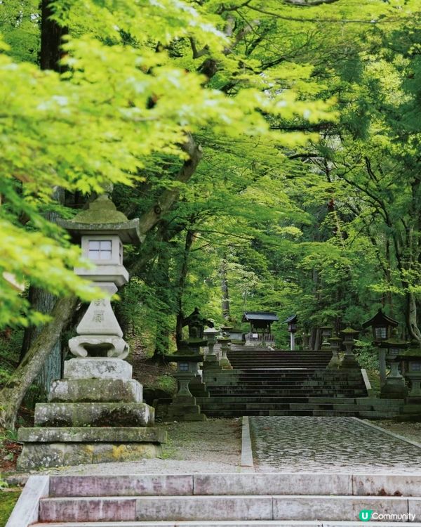 🇯🇵名古屋六日五夜全程分享