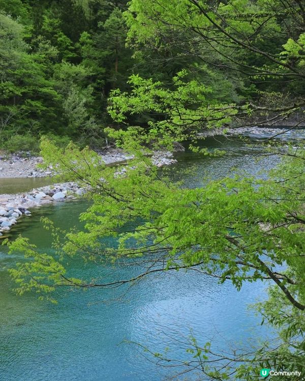 🇯🇵名古屋六日五夜全程分享