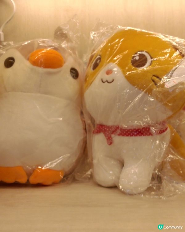 小城故事CITIY STORY