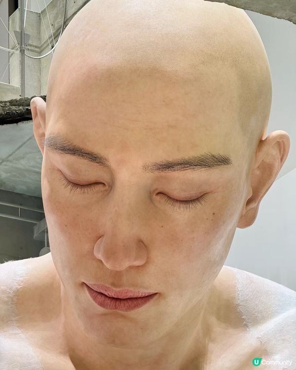 預約入場!深圳GM巨人展太潮啦