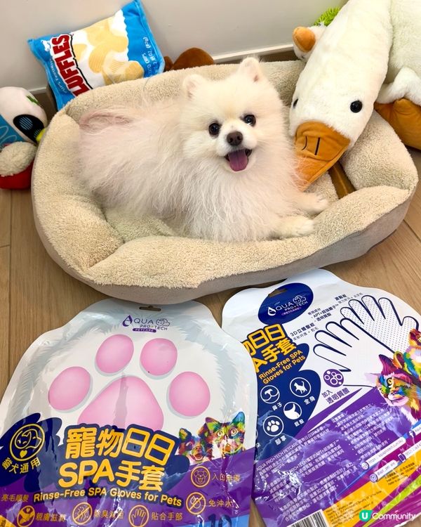 狗狗愛上spa😍😍